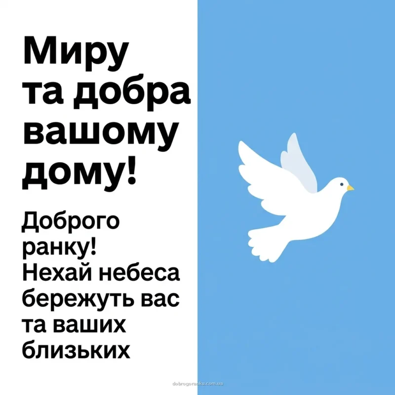 Сніжно-білий голуб — доброго ранку гарного дня мирного неба картинки українською