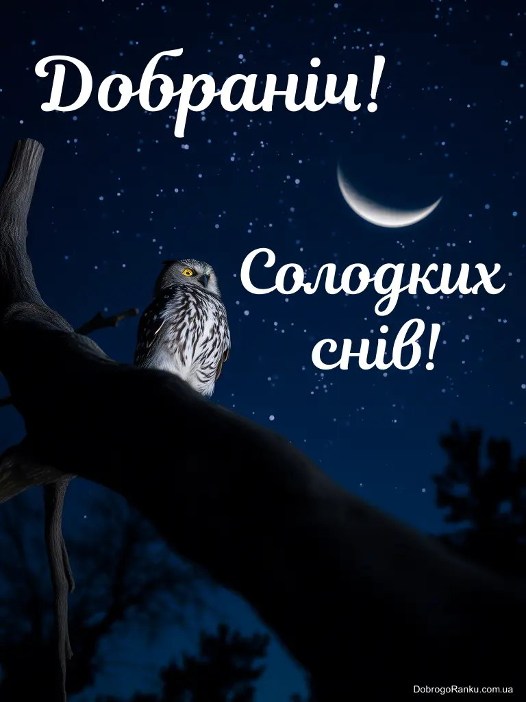 Добраніч солодких снів