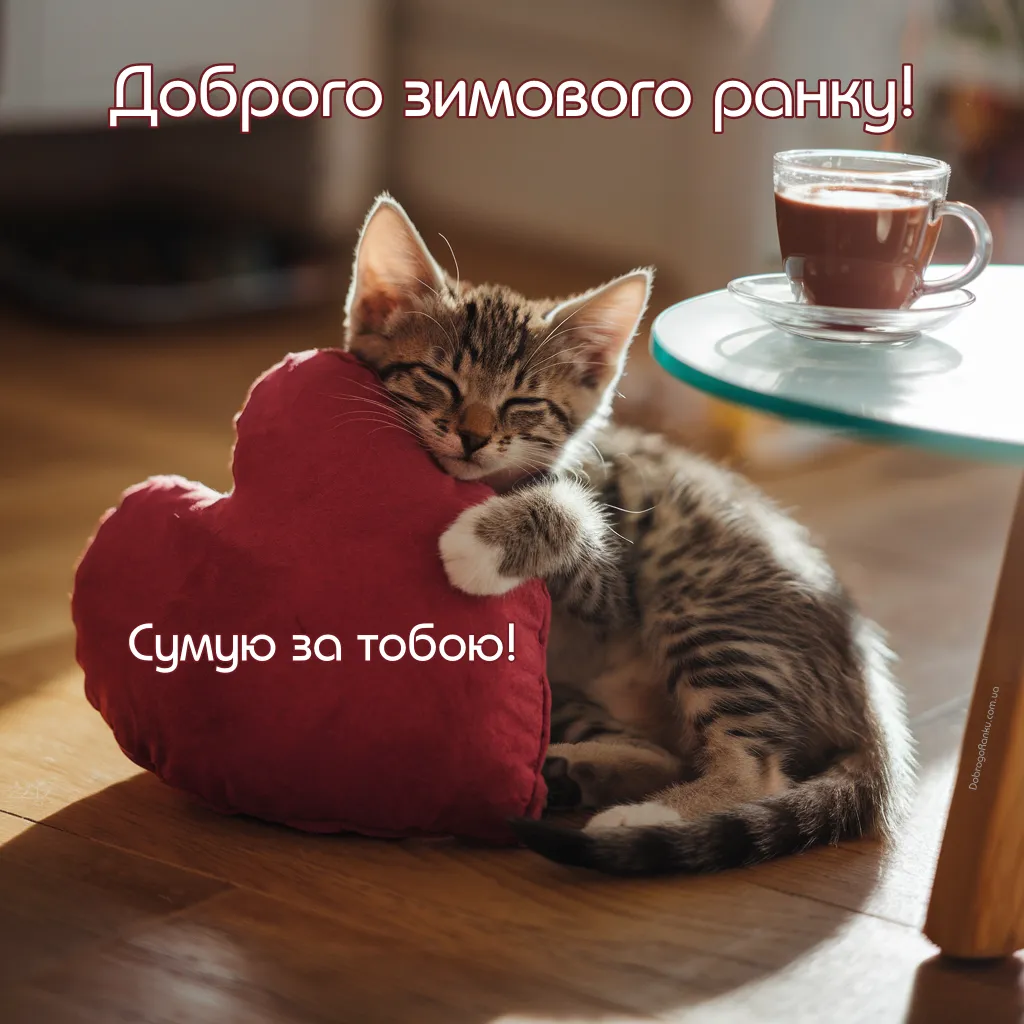 Доброго зимового ранку. Сумую за тобою! Милий котик з сердечком