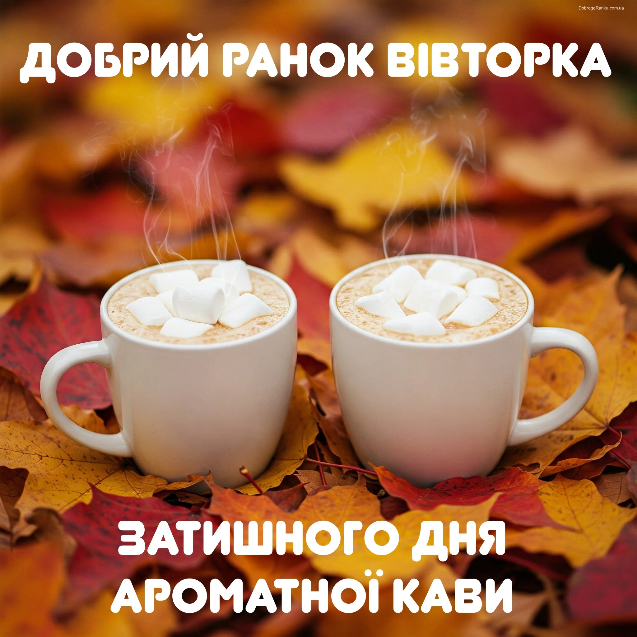 Добрий ранок вівторка осінь