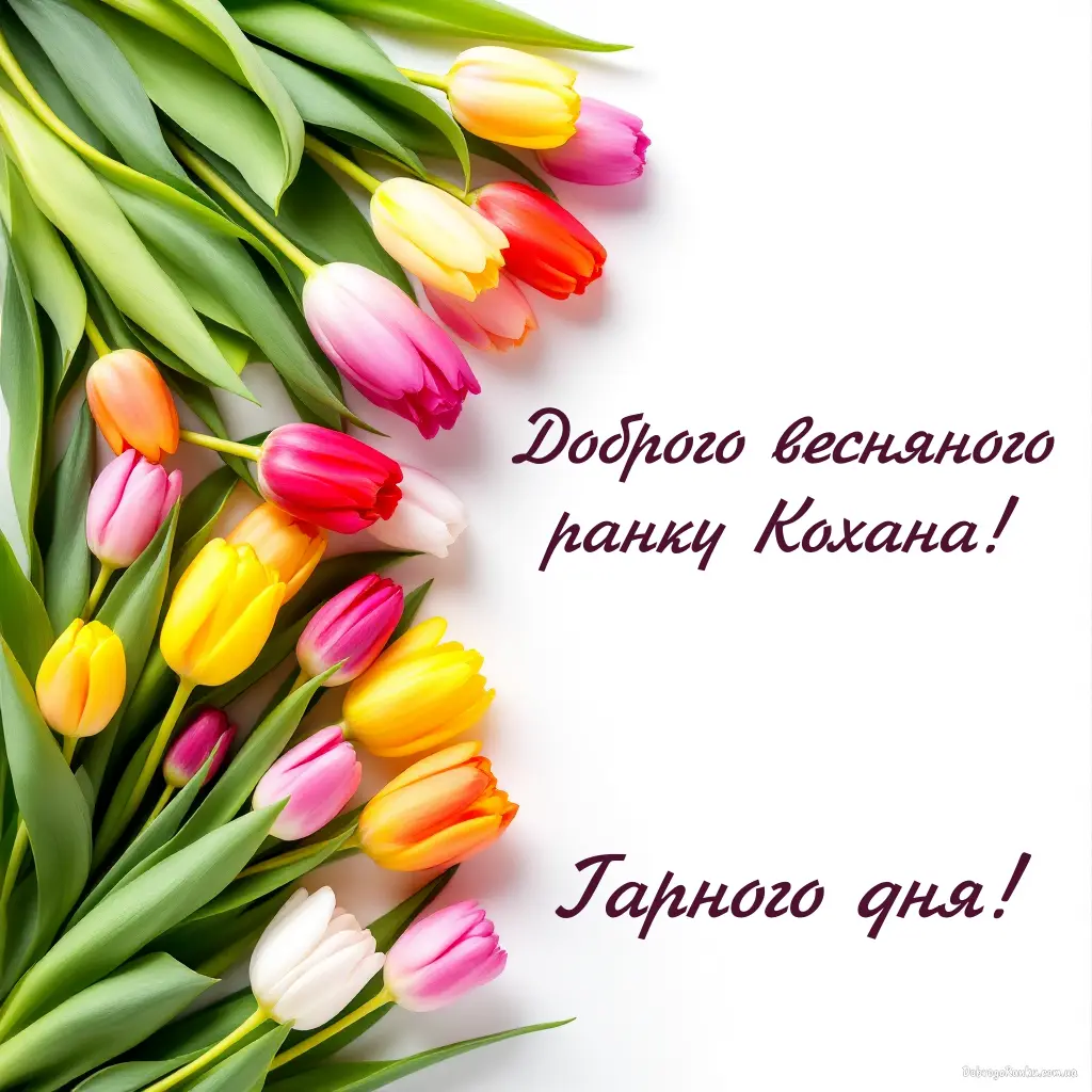 Картинка доброго весняного ранку кохана - гарного дня: тюльпани