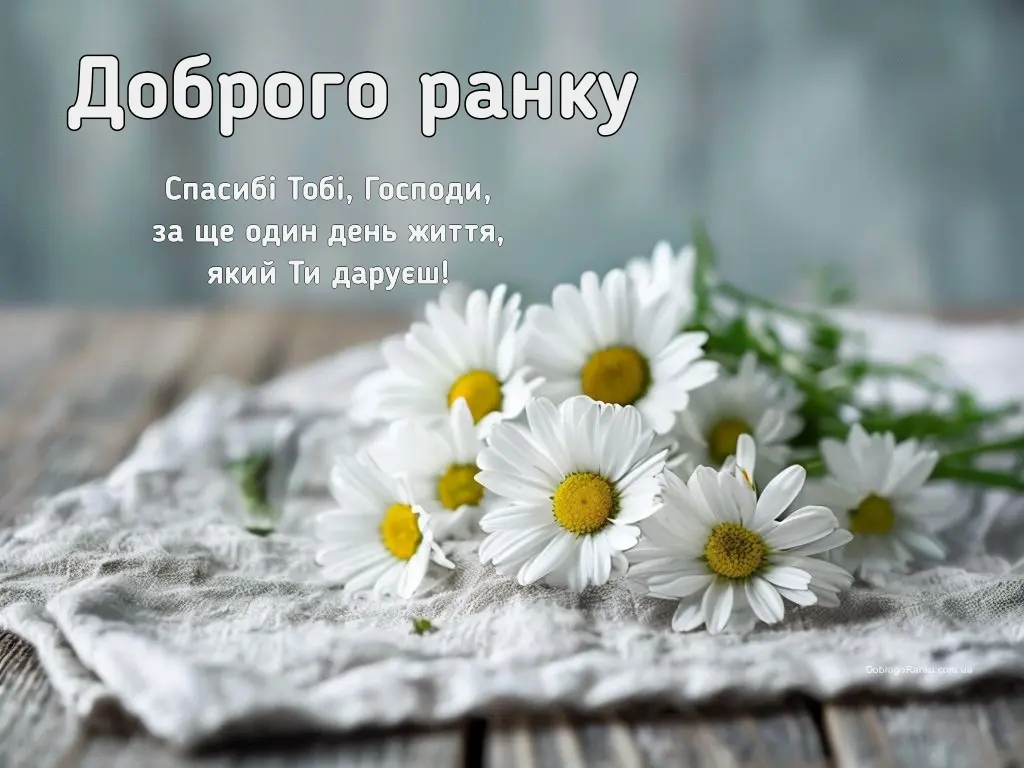 Листівка з побажанням доброго ранку - ромашки