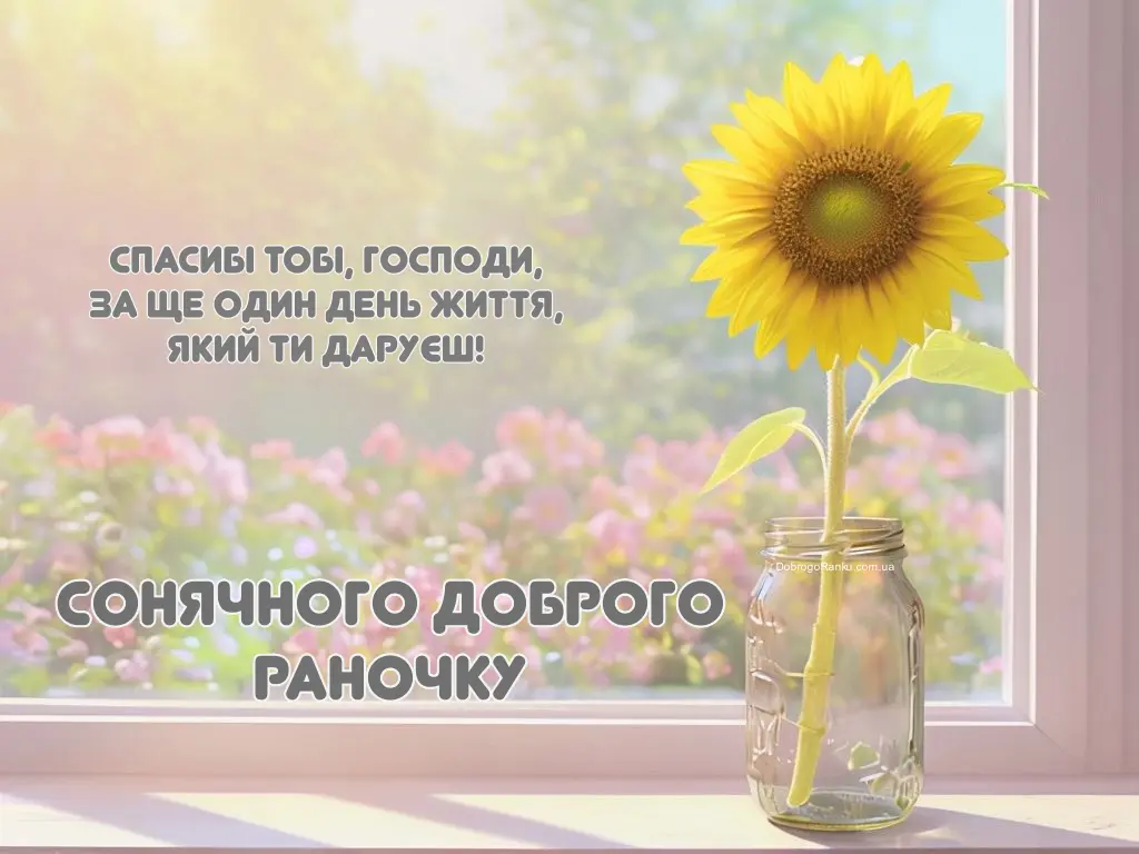 Листівка з побажанням доброго раночку: соняшник