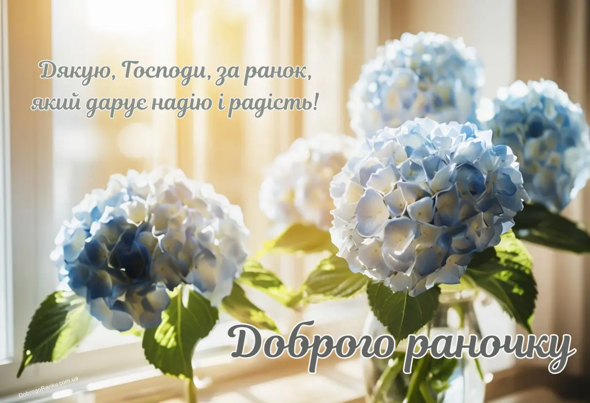 Листівка з привітанням доброго раночку - гортензії