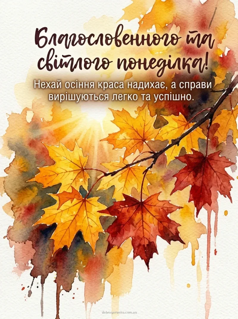 Сонячний промінь на осінньому кленовій гілці — Вдалого дня!