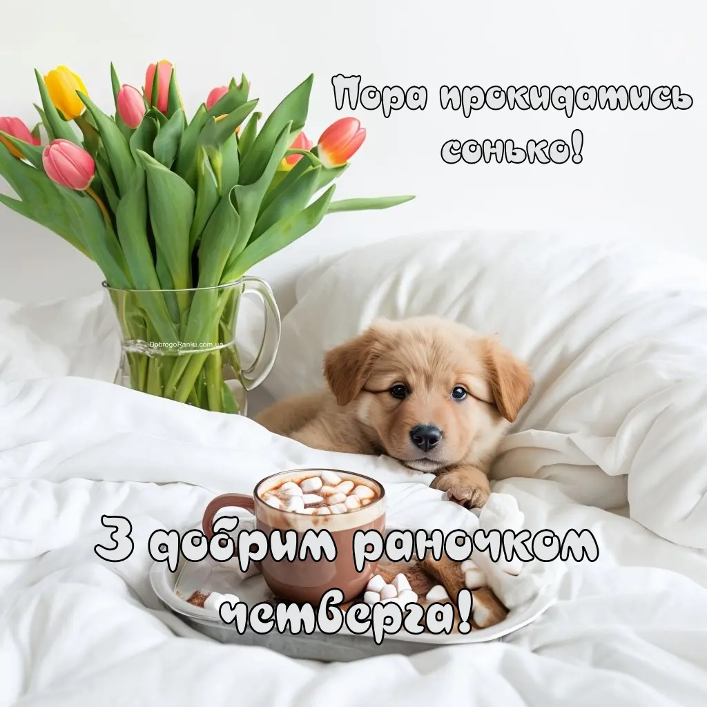 Заклик прокидатись в картинці, побажання доброго раночку. Тюльпани, песик