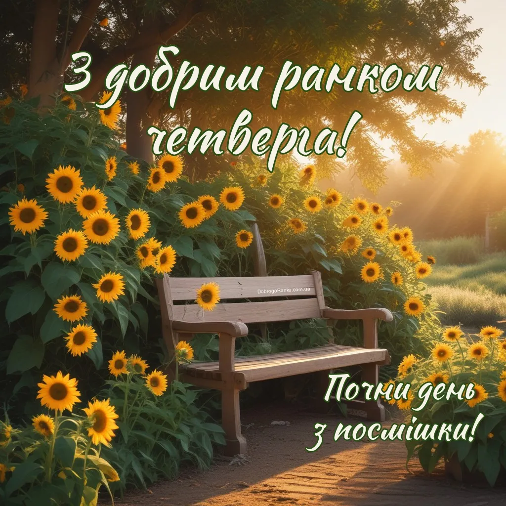 Зображення з добрим ранком четверга - Соняшники